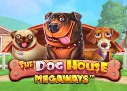 landmarktowns: The Dog House Megaways